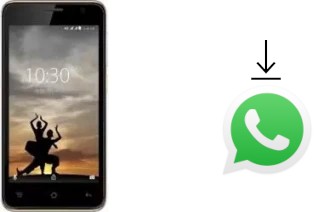 Come installare WhatsApp su Karbonn A9 Indian