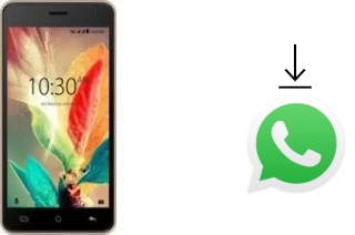 Come installare WhatsApp su Karbonn K9 Smart Eco