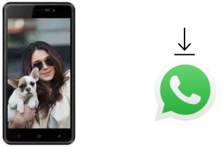 Come installare WhatsApp su Karbonn K9 Smart Selfie