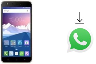 Come installare WhatsApp su Karbonn K9 Viraat 4G