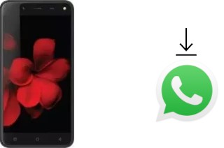 Come installare WhatsApp su Karbonn Titanium Frames S7