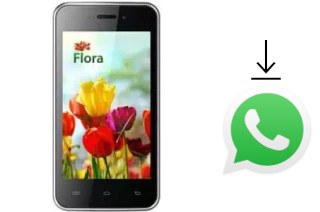 Come installare WhatsApp su KENEKSI Flora