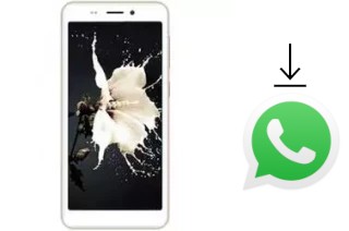 Come installare WhatsApp su Kenxinda T50