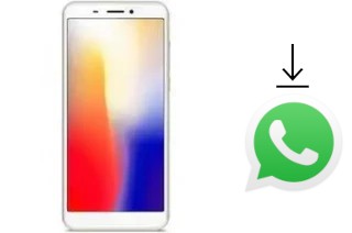 Come installare WhatsApp su Kenxinda T55