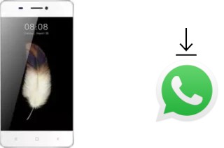 Come installare WhatsApp su Kenxinda V5