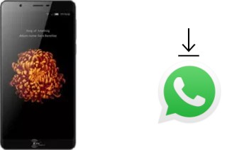 Come installare WhatsApp su Kenxinda V9