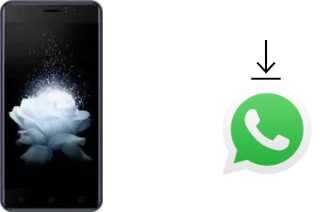 Come installare WhatsApp su Kenxinda W50