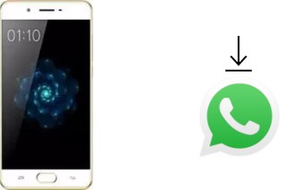 Come installare WhatsApp su Kenxinda X6