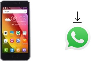 Come installare WhatsApp su KingZone S2