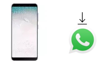 Come installare WhatsApp su Konka S5 Plus