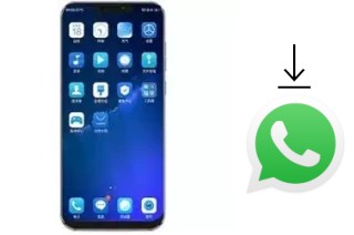 Come installare WhatsApp su Koobee F2 Plus