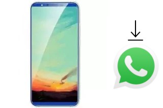 Come installare WhatsApp su Koolnee K3