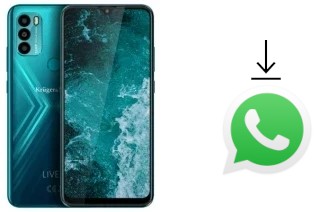 Come installare WhatsApp su Kruger-Matz LIVE 9