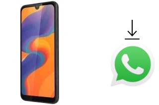 Come installare WhatsApp su Kruger-Matz MOVE 9