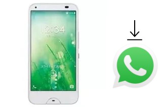 Come installare WhatsApp su Kyocera Digno W