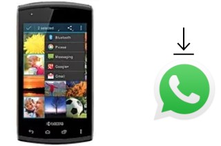 Come installare WhatsApp su Kyocera Rise C5155