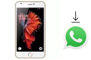 Come installare WhatsApp su L-Max Ester 1