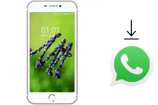 Come installare WhatsApp su L-Max Mega Plus 1