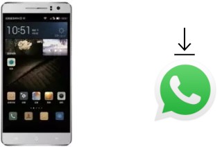 Come installare WhatsApp su Landvo L600 Pro