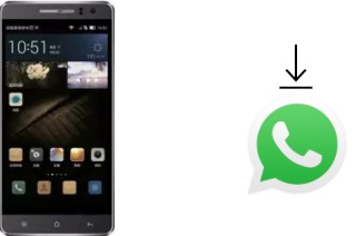 Come installare WhatsApp su Landvo L600