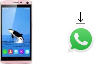 Come installare WhatsApp su Landvo V11