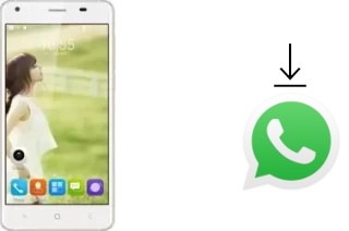 Come installare WhatsApp su Landvo XM200 Pro