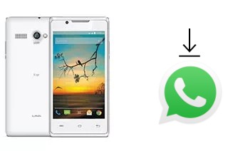 Come installare WhatsApp su Lava Flair P1i