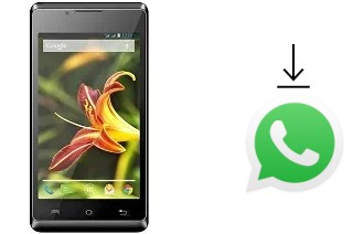 Come installare WhatsApp su Lava Iris 401