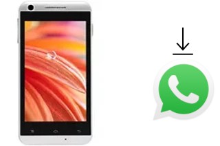 Come installare WhatsApp su Lava Iris 404e