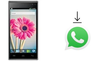 Come installare WhatsApp su Lava Iris 504q+