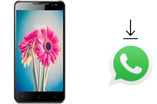 Come installare WhatsApp su Lava Iris 504q