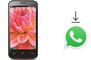 Come installare WhatsApp su Lava Iris 505