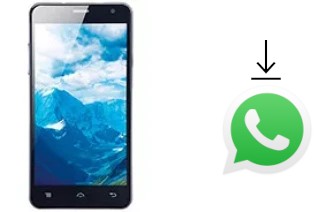 Come installare WhatsApp su Lava Iris 550Q