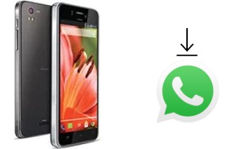 Come installare WhatsApp su Lava Iris Pro 30