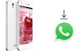 Come installare WhatsApp su Lava Iris X1 Grand