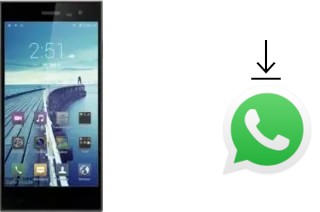 Come installare WhatsApp su Leagoo Lead 1