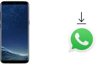 Come installare WhatsApp su Leagoo S8