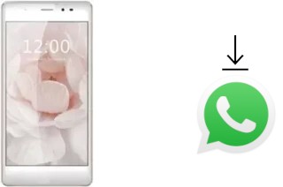 Come installare WhatsApp su Leagoo T1