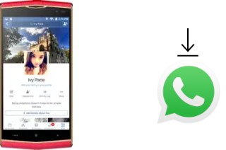 Come installare WhatsApp su Leagoo Venture 1