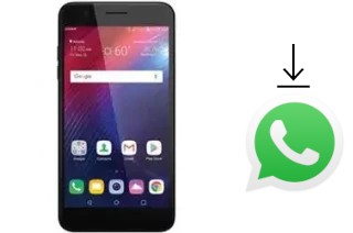 Come installare WhatsApp su LG Harmony 2