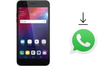 Come installare WhatsApp su LG Phoenix Plus