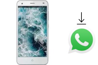 Come installare WhatsApp su Lyf Water 3