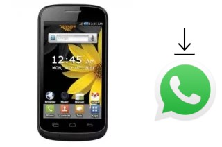 Come installare WhatsApp su M-Tech A3 Infinity