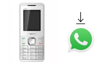 Come installare WhatsApp su Masstel C105I