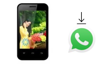 Come installare WhatsApp su Masstel M120