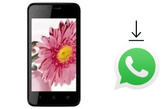 Come installare WhatsApp su Masstel M200