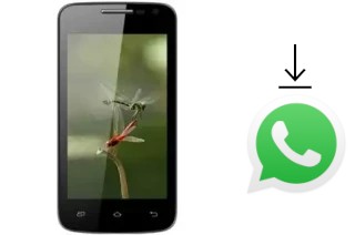 Come installare WhatsApp su Masstel M330