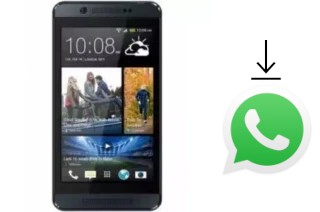 Come installare WhatsApp su Master SmartPhone 450