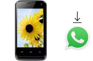 Come installare WhatsApp su Maximus max12