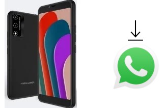 Come installare WhatsApp su Maxwest Nitro 55e